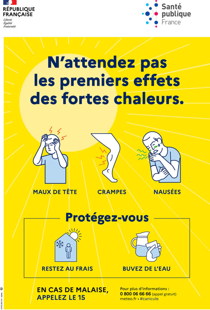 canicule 2020 Les hirondelles sont de retour (voir actualités du mois)